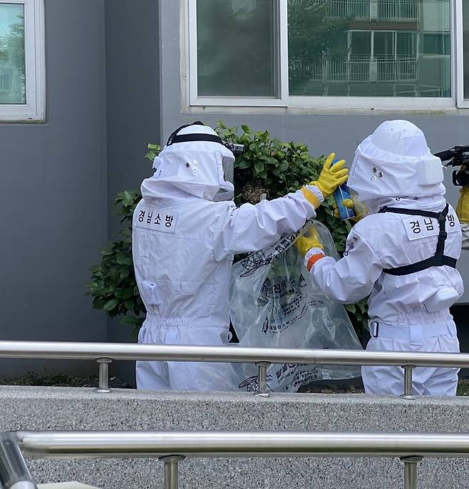 [진주=뉴시스] 진주소방서 벌집제거 작업.(사진=뉴시스 DB),photo@newsis.com *재판매 및 DB 금지