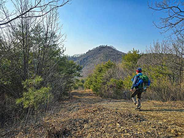 감태봉에서 용지봉으로 가는 길(정면 가운데가 용지봉).