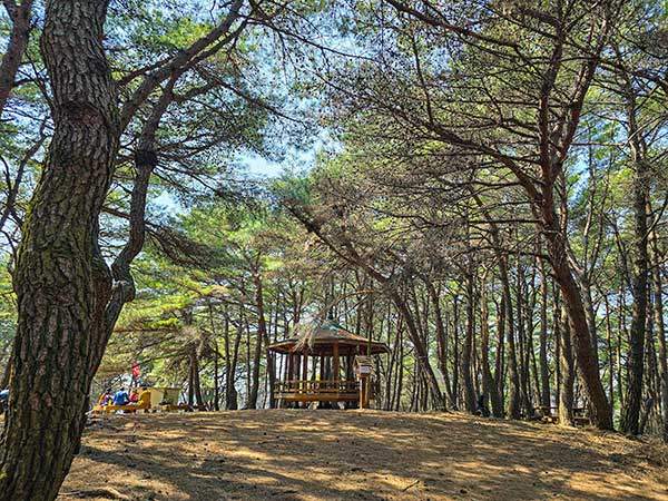 만보정. 넓직한 솔밭 봉우리에 자리 잡고 있는데 주변에 식탁, 평상 등이 여럿 구비되어 있다.