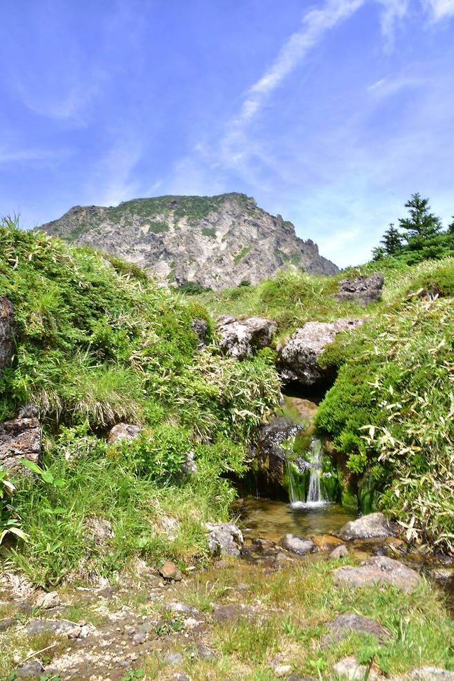 국내 최고 해발고도(1660m)에 있는 한라산 백록샘. 제주도 세계유산본부 제공