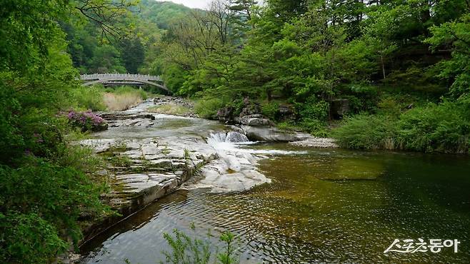 오대산 월정사 앞을 흐르는 오대천의 금강연. 한강이 시작하는 시연지로 맑은 물의 계곡과 주변 풍광이 일품으로 소문나 있다  평창·영월｜김재범 기자 oldfield@donga.com