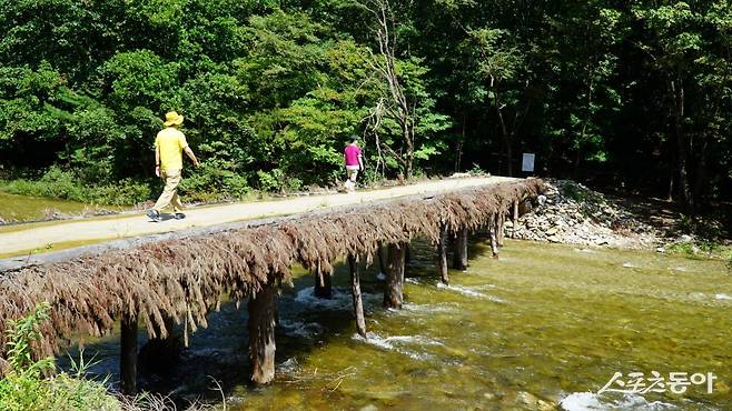 오대산 선재길의 명물인 섭다리. 선재길은 월정사에서 시작해 동피골을 거쳐 상원사까지 이어지는 10km 구간으로 대부분이 평지여서 부담 없이 걷기 좋다         평창·영월｜김재범 기자 oldfield@donga.com
