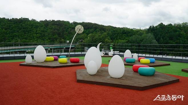 영월관광센터의 루프탑 휴식 공간. 청령포를 비롯해 영월 경관을 편히 쉬면서 즐길 수 있다    평창·영월｜김재범 기자 oldfield@donga.com