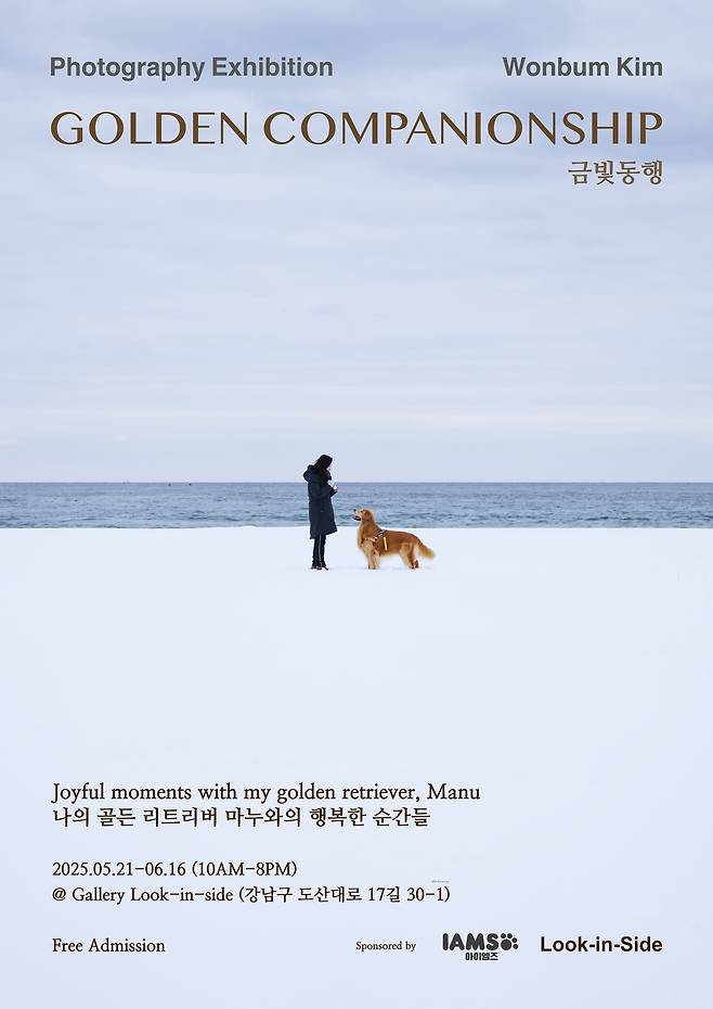 ‘금빛동행 - 나의 골든 리트리버 마누와의 행복한 순간들’ 전시 포스터. 에이스팩토리 제공