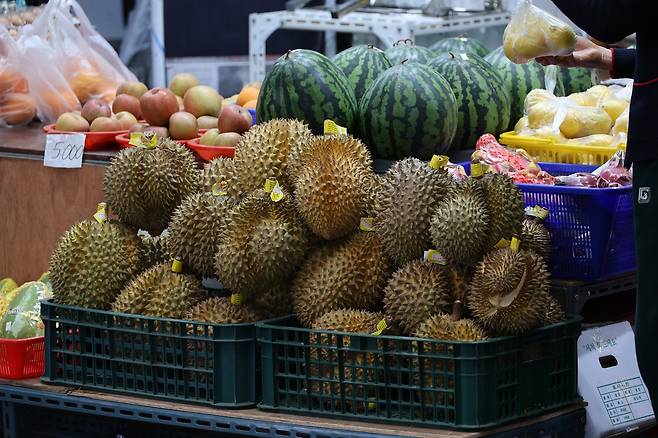 외국인 식료품점 가게에 진열된 과일 [촬영 황수빈]