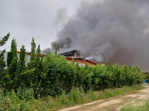 천안 풍세면 돈사 화재 [충남소방본부 제공. 재판매 및 DB 금지]