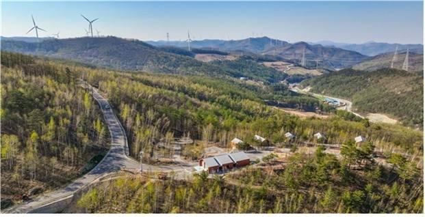 매봉산 천상의숲 전경 [강원특별자치도 제공.재판매 및 DB 금지]