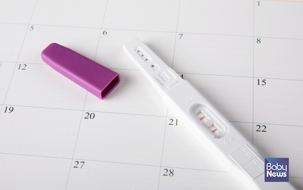 배란테스트기는 소변 내의 황체형성호르몬 검사를 통해 배란일을 예측하는 체외진단의료기기로, 임신을 준비하는 과정에서 원하는 출산 시기를 계획하고 임신 가능성을 높이기 위해 사용된다. ⓒ베이비뉴스