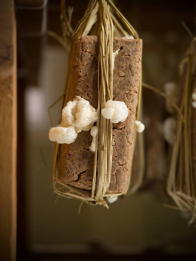 정연두, '바실러스 초상 #5'(2025). 메주가 발효할 때 하얀 거품이 피어오른 순간을 포착했다. /국제갤러리