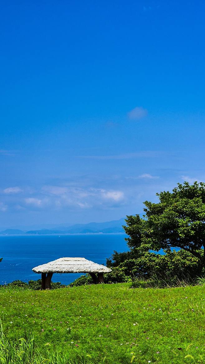 1000007788.jpg [국내여행] 청산도