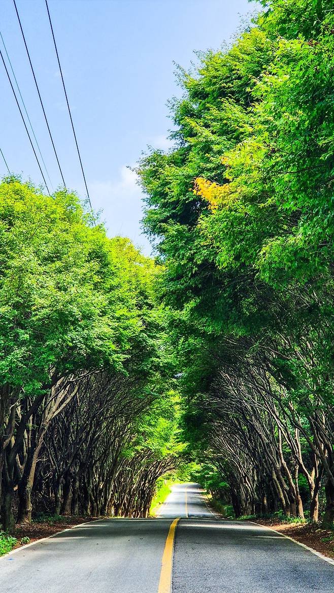 1000007789.jpg [국내여행] 청산도