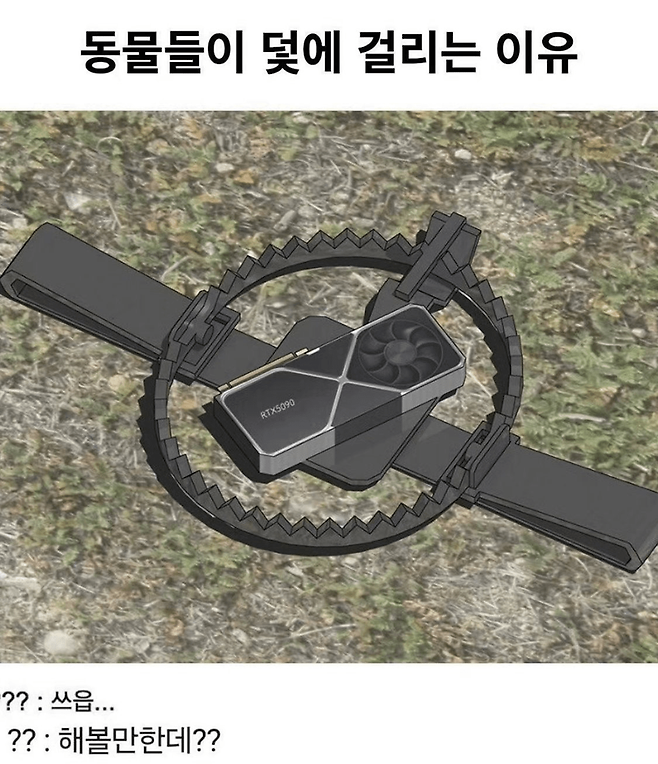 image.png 동물들이 덫에 걸리는 이유.jpg