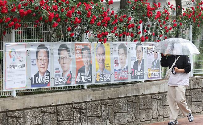 지난 15일 대구 중구 남산동 한 아파트 철망에 장미꽃이 활짝 핀 가운데 제21대 대통령 선거 벽보가 붙어있다. 연합뉴스