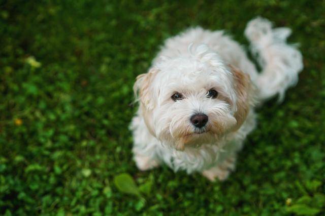 게티이미지뱅크