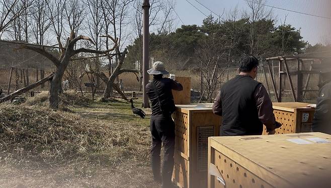 국립생태원 직원들이 산불을 피해 멸종위기종복원센터 내 동식물들을 긴급 대피시키고 있다. 국립생태원 제공