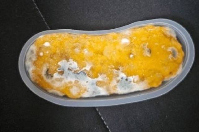 더본코리아가 운영하는 커피 프랜차이즈 ‘빽다방’의 디저트 제품에서 발견된 곰팡이 추정 이물질. 사진=온라인커뮤니티 갈무리