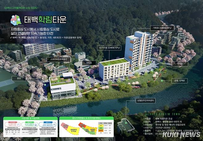 강원 태백시 지역활력타운 학림타운 조감도.