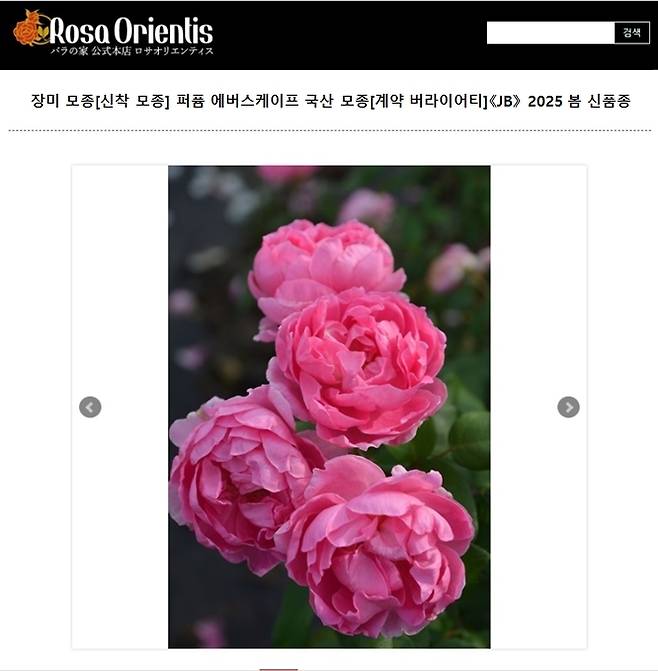 에버랜드 퍼퓸에버스케이프 판매 사이트 일본 장미 총판 ‘로자 오리엔티스’ <에버랜드>