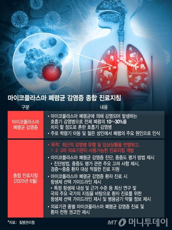 마이코플라스마 폐렴균 감염증 종합 진료지침. /그래픽=윤선정 디자인기자