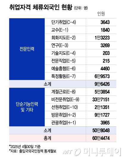 취업자격 체류외국인 현황/그래픽=이지혜
