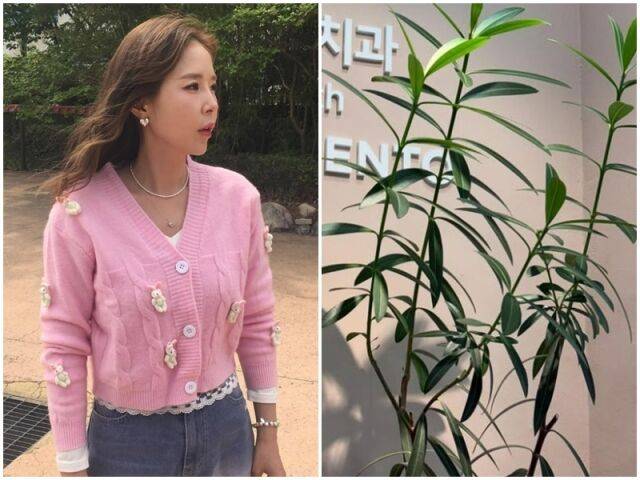 신지./소셜미디어