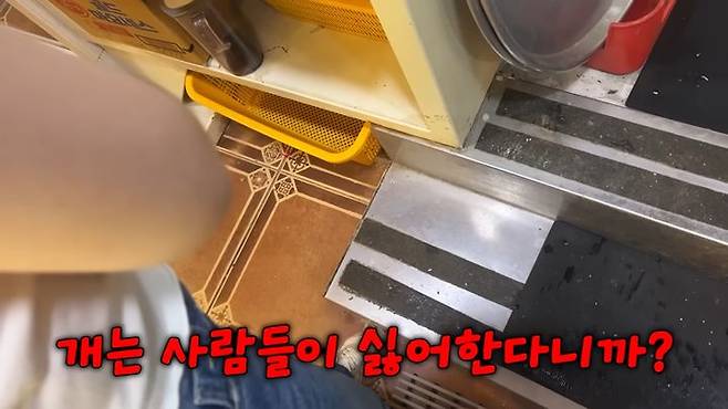 (사진=유튜브 채널 '우령의 유디오' 캡처) *재판매 및 DB 금지