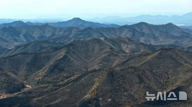 [안동=뉴시스] 김금보 기자 = 30일 경북 안동시와 의성군 경계부근에서 바라본 일대 산하가 산불에 훼손돼있다. 2025.03.30. kgb@newsis.com