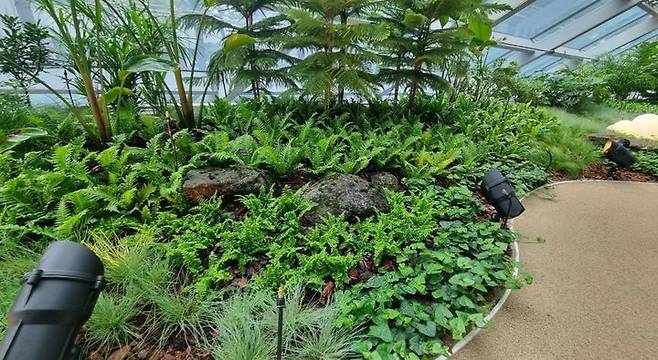 [부산=뉴시스] 비프-포레스트(BIFF-FOREST) 실내 정원. (사진=부산시 제공) 2025.05.21. photo@newsis.com *재판매 및 DB 금지