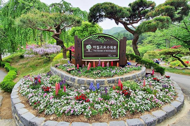 꽃구경 아직 못했다면 서울근교 꽃명소로!
