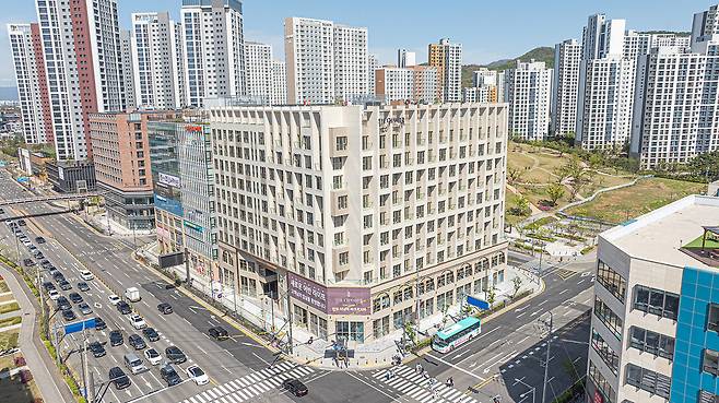 고요웰니스 제공