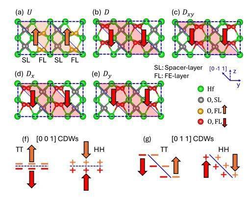 산화하프늄 강유전체 내 '대전된 도메인 벽' 구조와 전하 분포 모식도.