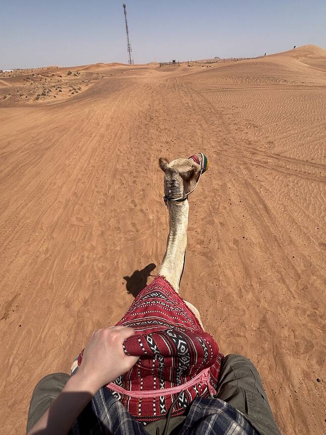 IMG_4262.jpeg 두바이 23시간으로 알차게 즐겼습니다