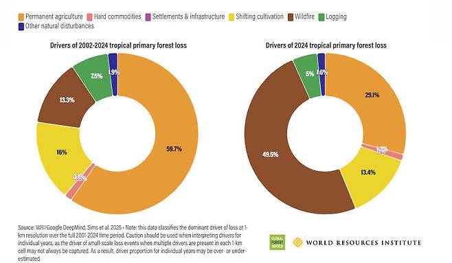 2024년 들어 숲이 소실되는 주요 원인으로 화재가 크게 늘었다. 지난해는 역대 가장 더운 해로 열대우림뿐 아니라 캐나다와 시베리아에서도 화재가 많이 발생했다. 글로벌 포레스트 워치 누리집 갈무리