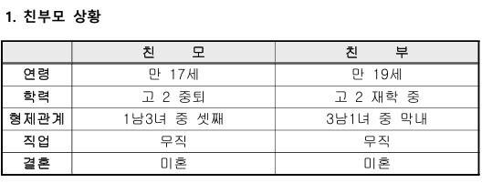 김서희씨 ‘입양아동 배경보고서’ 갈무리.