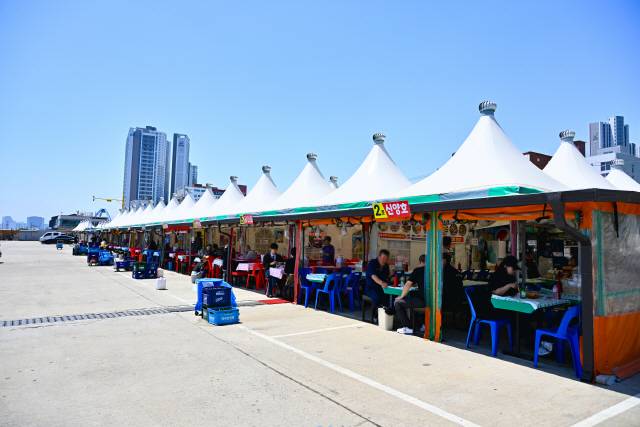 ▲ 속초항 오징어 난전 풍경.