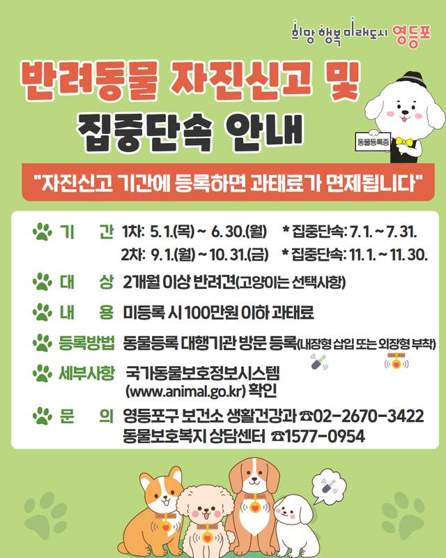 서울 영등포구의 반려동물 자진신고 포스터. 영등포구청 제공