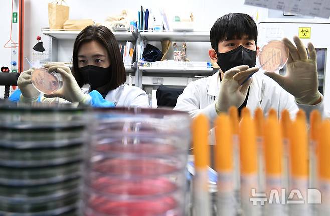 [수원=뉴시스] 김종택 기자 =지난 19일 경기 수원시 권선구 경기도보건환경연구원에서 연구원들이 식중독균 배양분리작업을 하고 있다. 최근 이른 더위가 시작되면서 학교 급식 등 집단급식소 식중독 의심 신고는 총 110건으로 최근 3년 평균(84건)보다 31% 증가했다. 2025.05.19. jtk@newsis.com