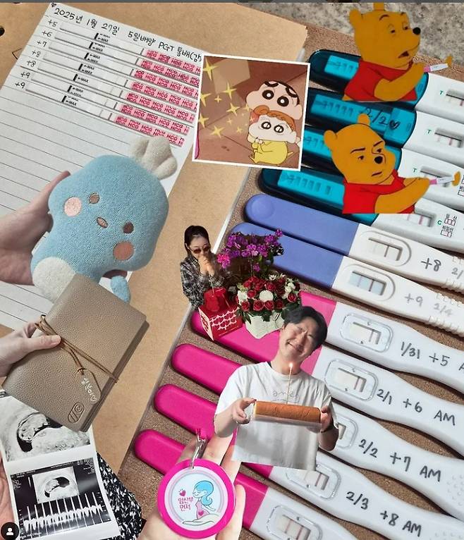 /사진=박보미