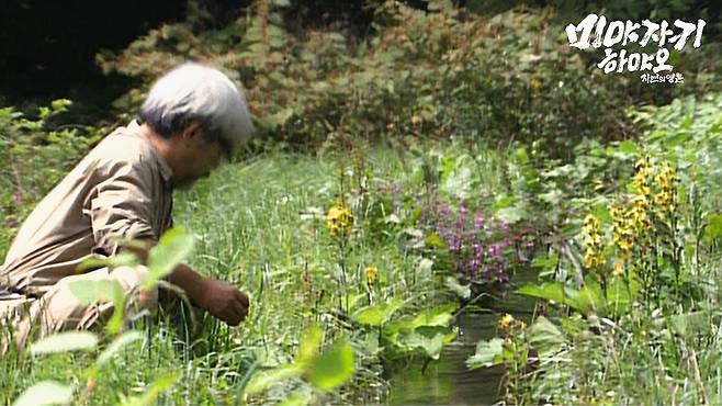 다큐멘터리 영화 '미야자키 하야오: 자연의 영혼' 속 한 장면 [스튜디오 디에이치엘 제공. 재판매 및 DB 금지]
