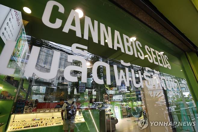 태국 대마 판매점 [EPA 연합뉴스 자료사진. 재배포 및 판매 금지]