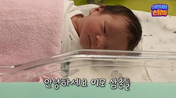 유튜브 채널 '담비손' 캡처