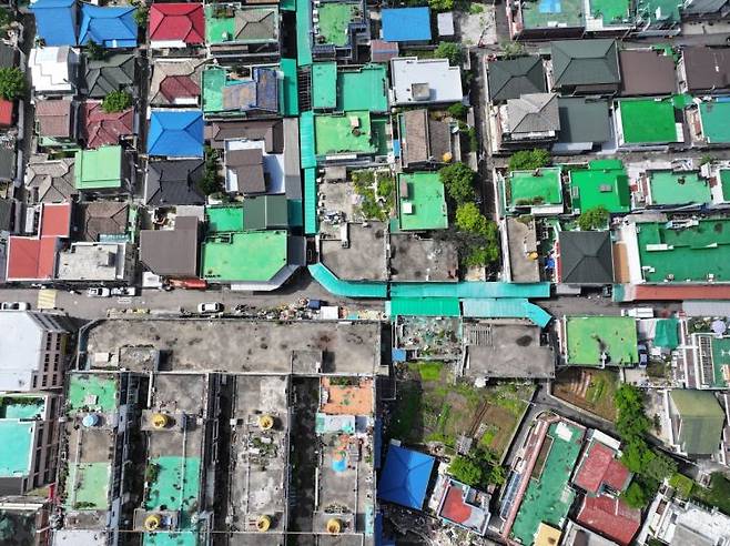 인천 미추홀구 일대 주택가의 모습. 곳곳에 방치된 빈집들이 보인다. 윤동주 기자