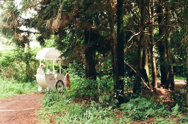 제주 축제 와일드오차드 티 페스티벌이 아이와 방문하는 관광객들의 눈길을 끌고 있다. 와일드오차드