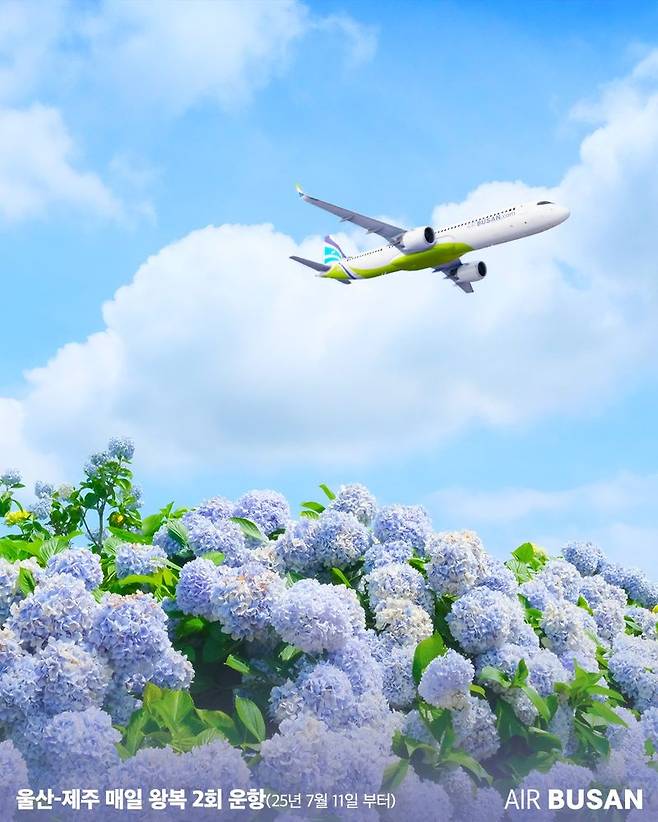 에어부산 울산~제주 운항 홍보 이미지. 에어부산 제공