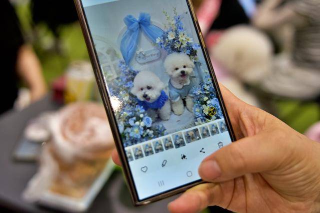 한 반려동물 보호자가 보여준 반려견 의류 판매부스에서 찍은 기념사진의 모습. 이처럼 반려동물 박람회에서는 사료와 용품, 의류 등이 주를 이뤘지만, 2025 메가주 일산에서는 업계 변화의 조짐도 엿보였다.