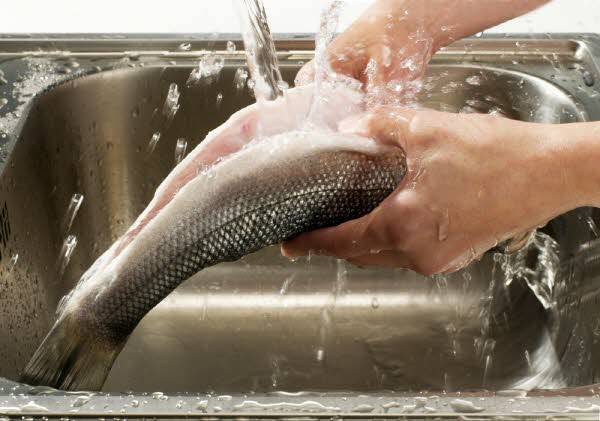 사진=클립아틑코리아