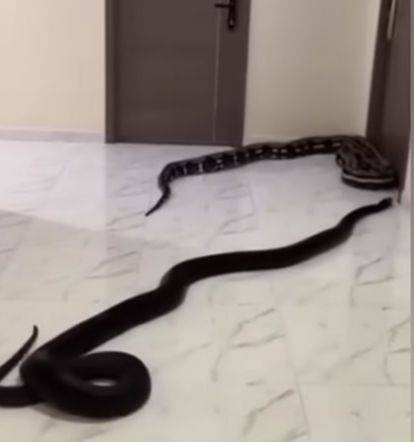 사진 유튜브 캡처