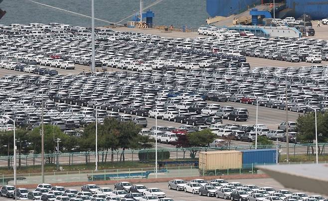 경기 평택시 포승읍 평택항 자동차전용부두에 수출용 차량들이 세워져 있다. 사진=뉴스1