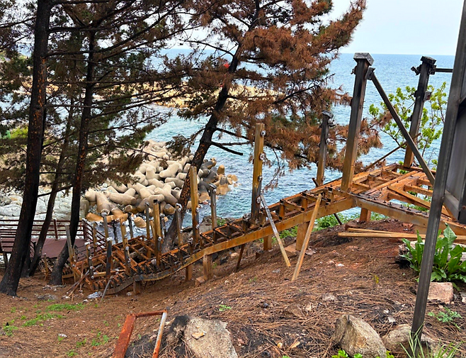 산불 피해를 입은 영덕의 모습 / 사진=김지은 여행+ 기자