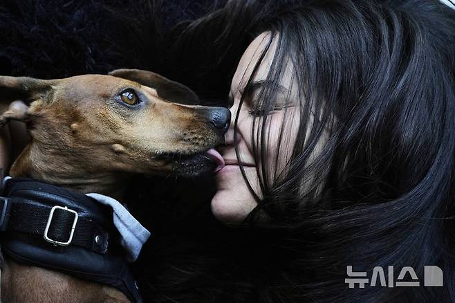 [부에노스아이레스=AP/뉴시스] 지난달 6일(현지 시간) 아르헨티나 부에노스아이레스에서 마갈리 마이소나베가 자신의 여섯 살 된 강아지와 놀고 있다. 2025.05.23.